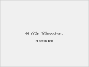 46 Aïn Témouchent